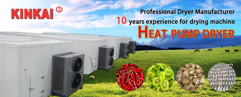 Guangzhou Kinkai Heat Pump Dryer Food Dehydrator Fish Dryer Leaves Drying Machine