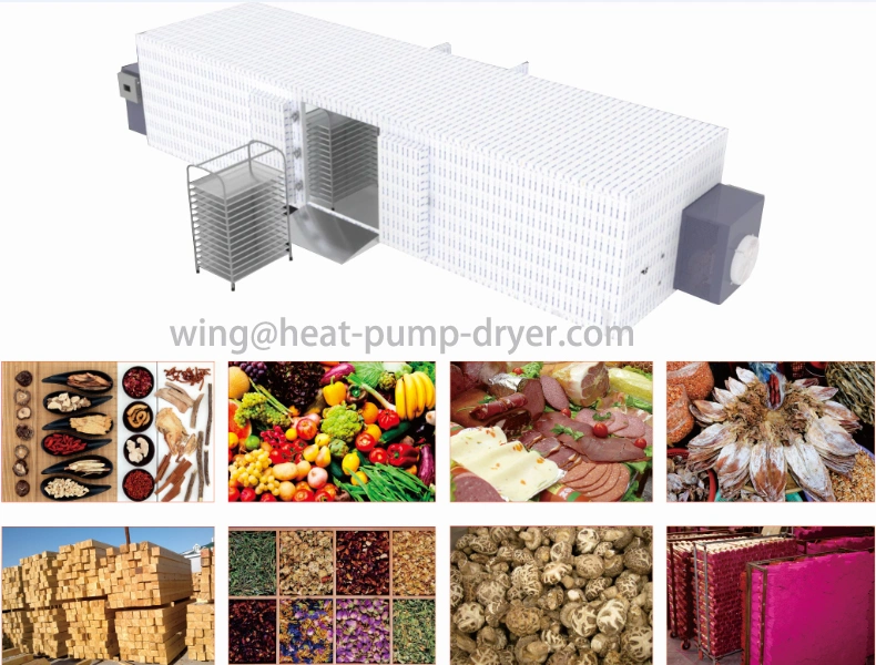 Hot Air Circulating Mango Dehydrator Machine, Dried Fruit Processing Machine